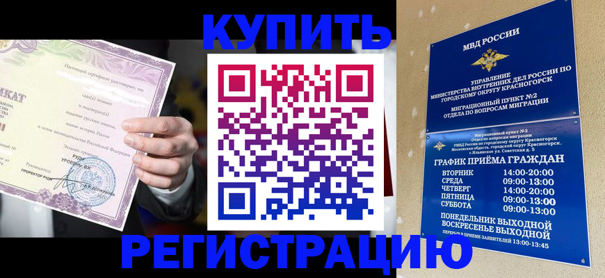 временная регистрация собственник в Камчатском крае